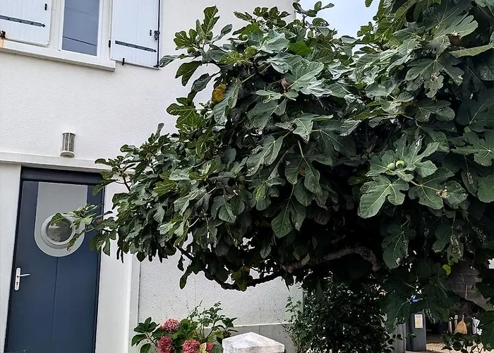 Maison Familiale Confort Et Idealement Placee Ferienhaus Les Sables-dʼOlonne